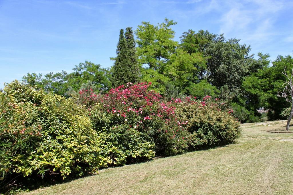 Villa Melagrana Фано Номер фото